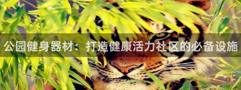 龙8国际2021官方网站pkufli1.291
