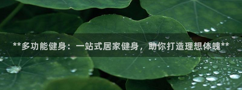 龙八国际app下载客户端