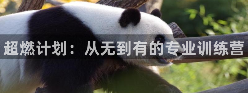 龙8国际唯一官网登录口