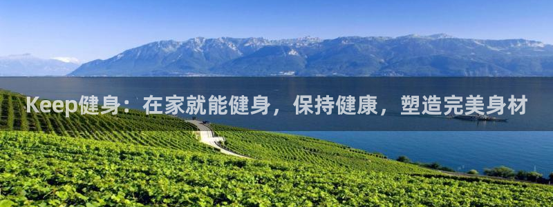 龙8国际pt官网