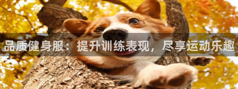 龙8国际官网 点此进入