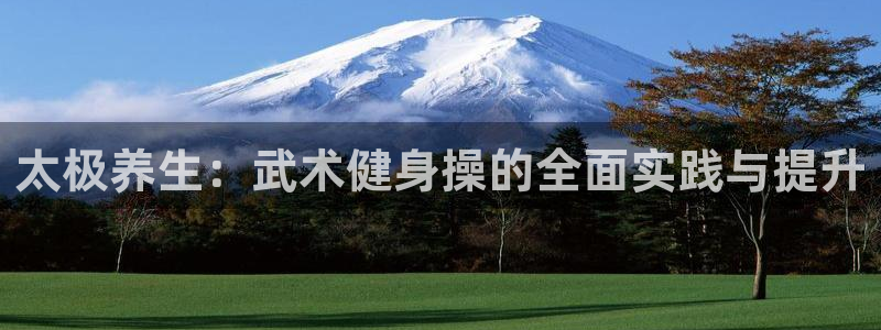 龙八国际网页登录