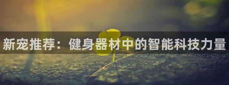龙8国际游戏官方网站