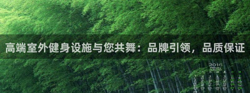 龙8国际官方网