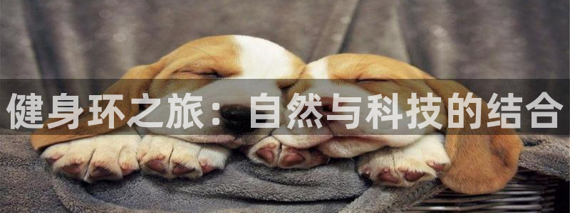 龙8国际欢迎您