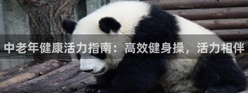 龙8国际唯一官网登录口