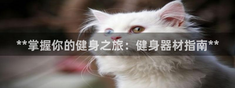 龙8国际龙8官方