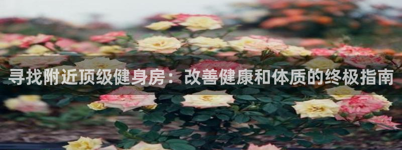 龙8国际官网正版