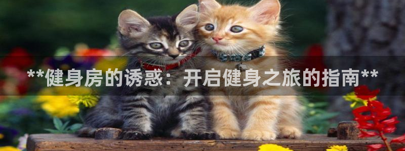 龙8国际唯一官网手游登录入口