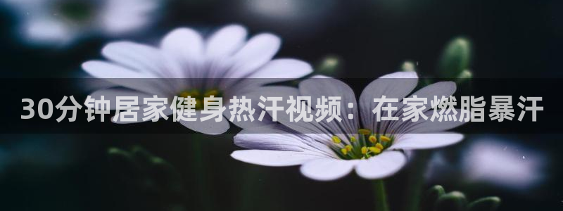 龙8国际手机版官网下载