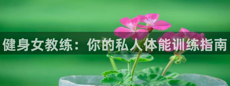 龙八国际官方网站app登录