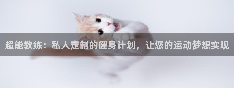 龙8国际网址是什么