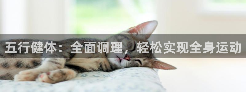 龙八国际登录密码