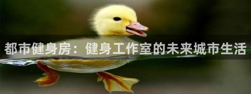 龙8国际手机登录|欢迎您的到来!