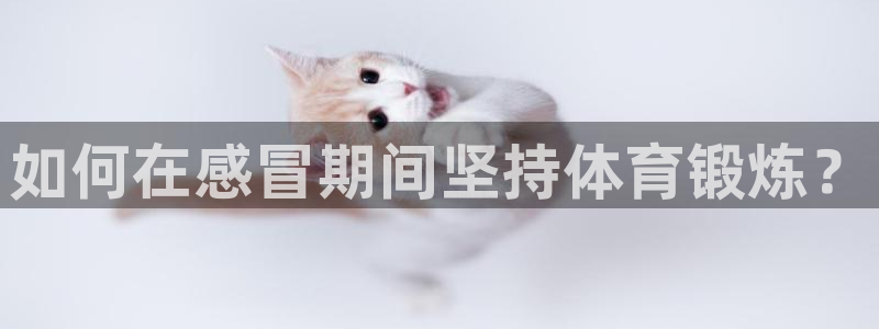 龙8游戏平台的网站