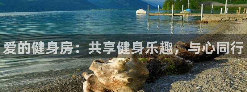 龙8国际老虎机游戏