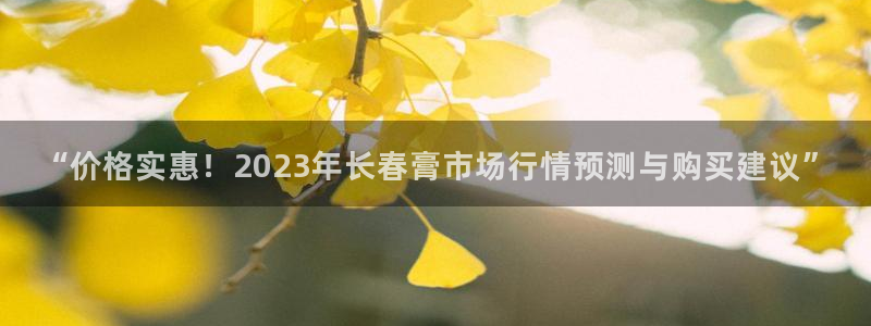 龙8游戏官方网站s