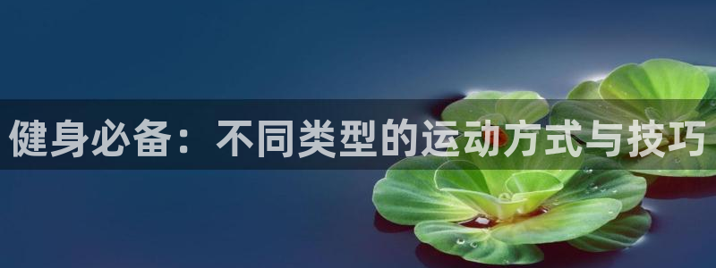 龙8国际老虎机官网