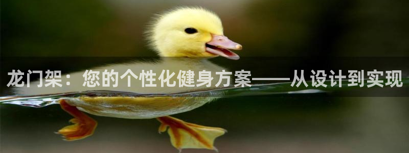 国际龙8官方网站