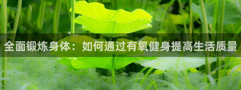 龙8国际app下载安装