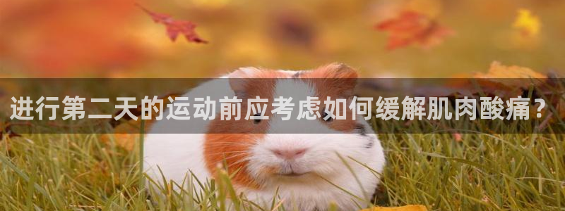 龙8国际登录地址