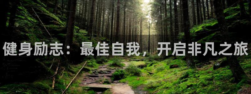 龙8国际登录地址