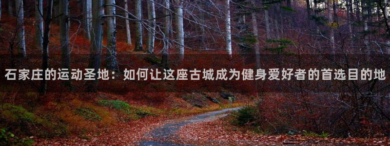 龙8游戏官方进入