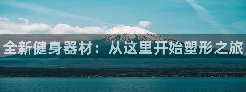 龙8国际官方网