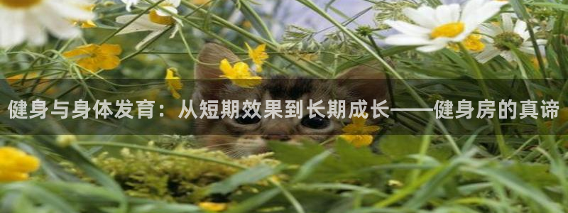 龙8国际官网唯一入口